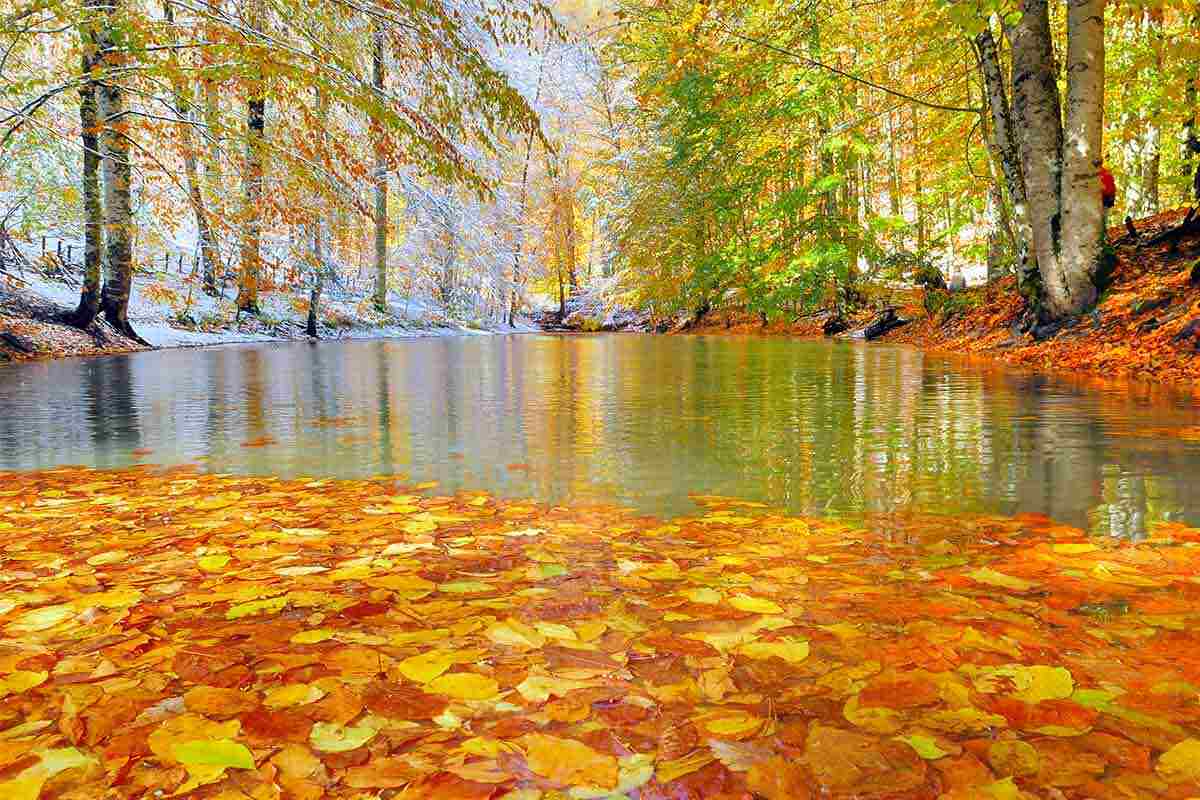 Autumn landscape in Turkey with vibrant foliage and a serene lake