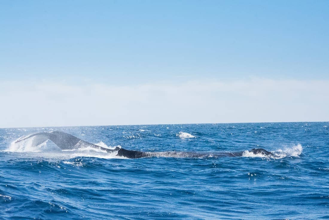 Best Time To Visit Mexico Coasts