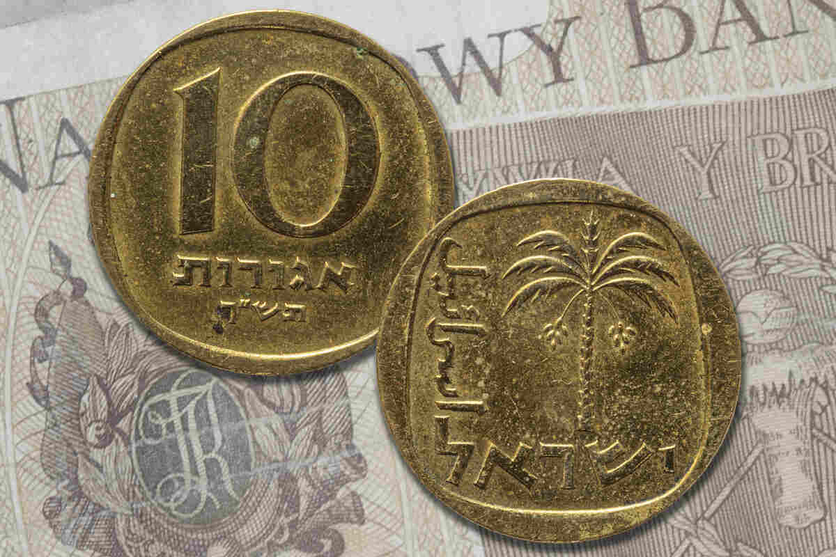 israeli shekel coin obverse and reverse