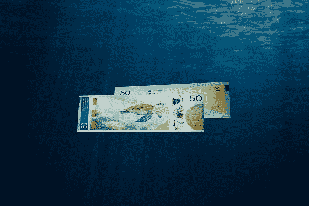50 Emalangeni banknote from Eswatini featuring a sea turtle motif and an underwater background.