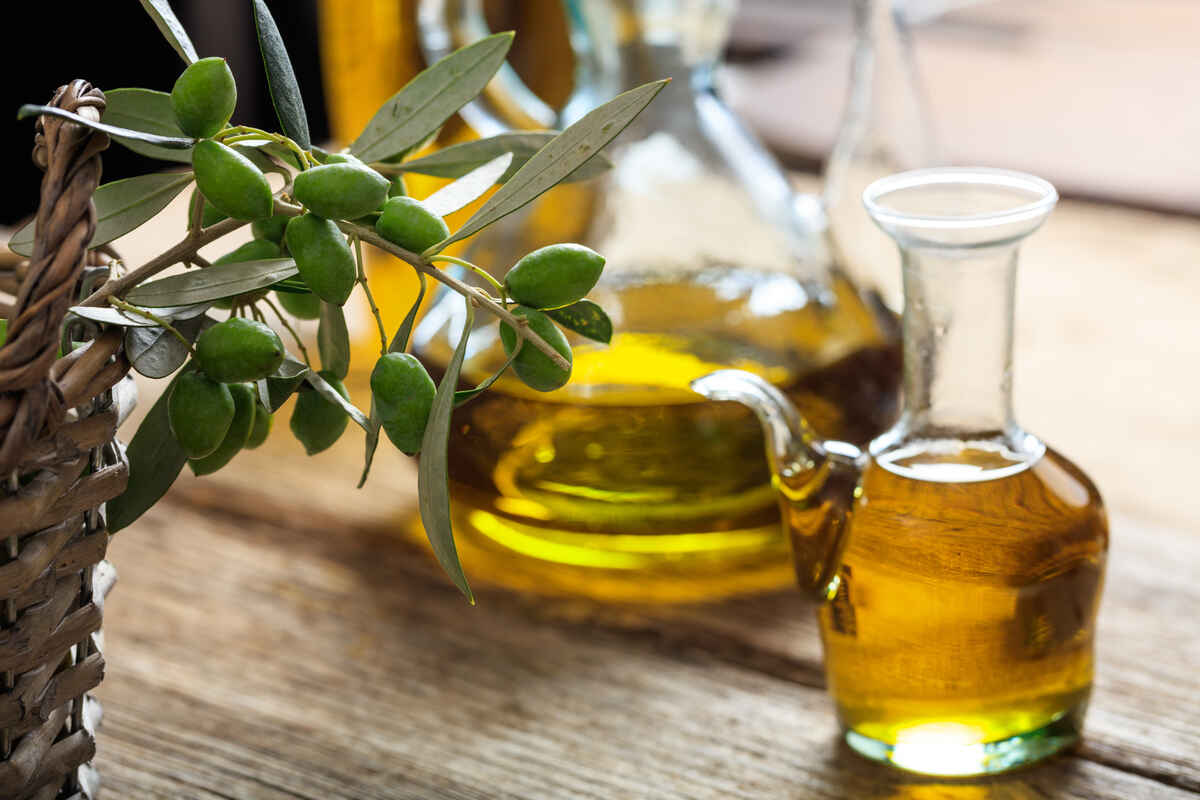 olive oil and olive twig