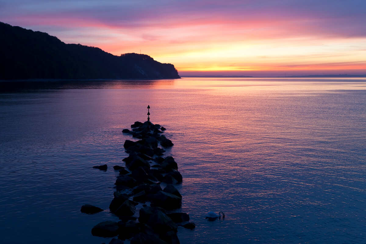 Sunset and Swan at Binz Rugen Island Germany