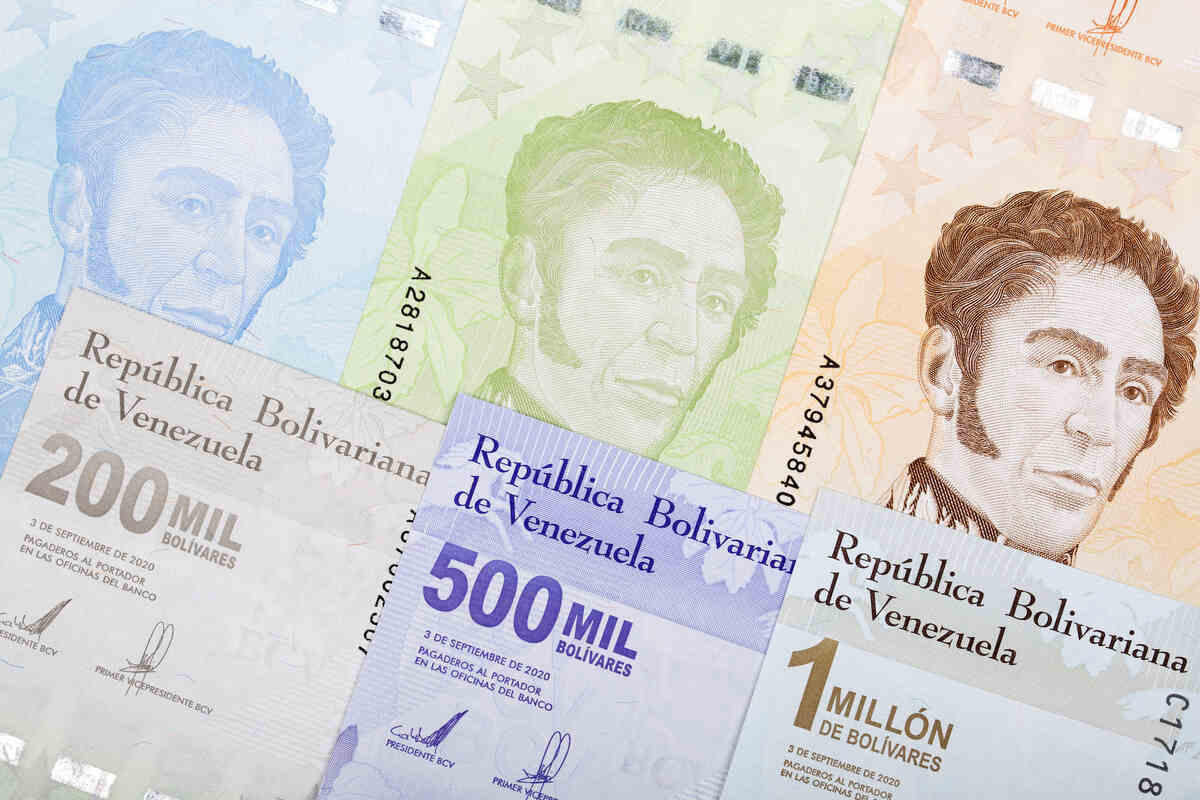 Venezuelan Bolívar (VES) money