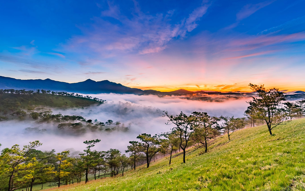 Dalat Vietnam Micro Climate